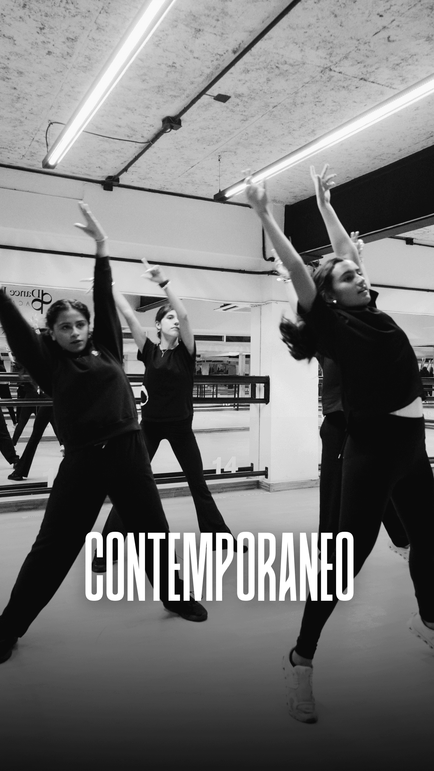 Contemporáneo
